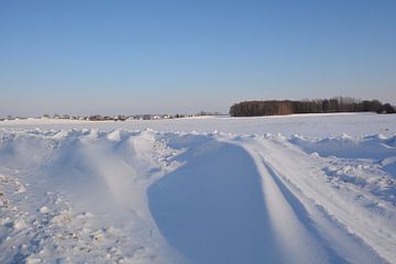 Schneeverwehungen bei Neukamp, Putbus, Insel Rügen