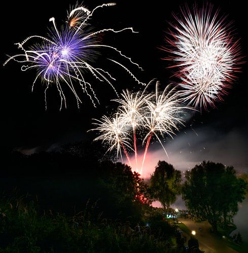 Grand spectacle de feux d'artifice dans un parc