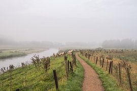 Stadt Buren Teil 10 von Tania Perneel