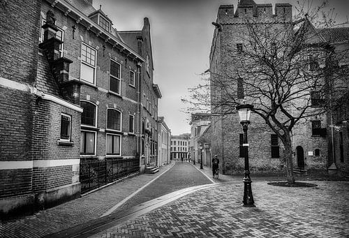 Achter de Dom (zomereditie)