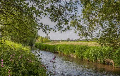 De Mechelderbeek bij Mechelen in Zuid-Limburg