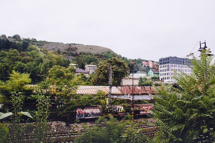Piste verte avec graffiti par Emma Niemans