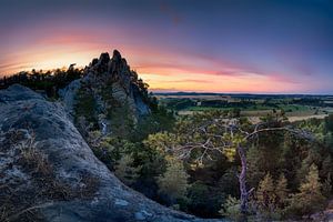 Harz Landschaft am Hamburger Wappen