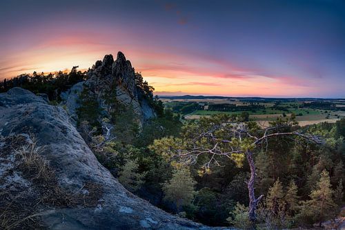 Harz landschap op het wapen van Hamburg in Saksen-Anhalt