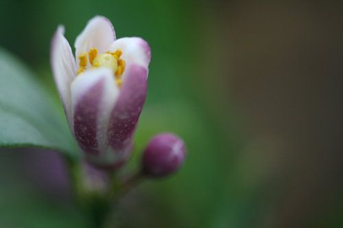 Het kleine begin van geluk