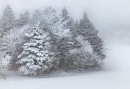 Winterwunderland im Nebel von Herke Kaandorp Miniaturansicht