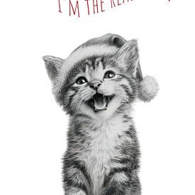 Chat cool - Miracle de Noël sur Melanie Viola