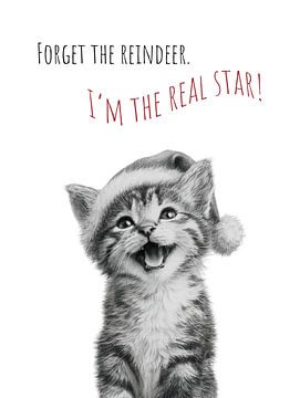 Chat cool - Miracle de Noël