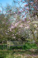 Romantische tuin
