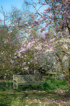 Romantischer Garten