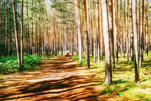L'été dans la forêt