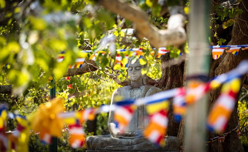 Verscholen Buddha van Eddie Meijer