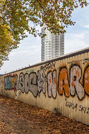 Namur Skin by didier de borle