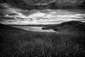 Wilde Natur