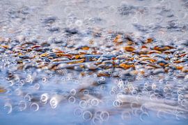 Shells with lots of circular bokeh by Yanuschka | Fotografie Noordwijk