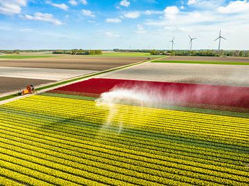 Tulpen auf einem mit einem landwirtschaftlichen Sprinkler besprühten Feld von Sjoerd van der Wal Fotografie