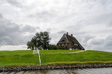 chalet avec toit de chaume sur une prairie sur Alexander Baumann