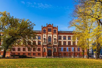 Uitzicht op de universiteit in de Hanzestad Rostock in de herfst van Rico Ködder