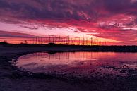 Sunset at the Grevelingen by Alice Berkien-van Mil thumbnail