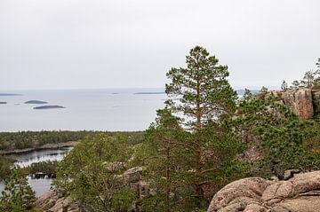 Ansichten von Schwedens hoher Küste von Lynn Haverhals