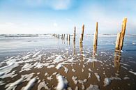 Strand in Denemarken van Frank Grässel thumbnail