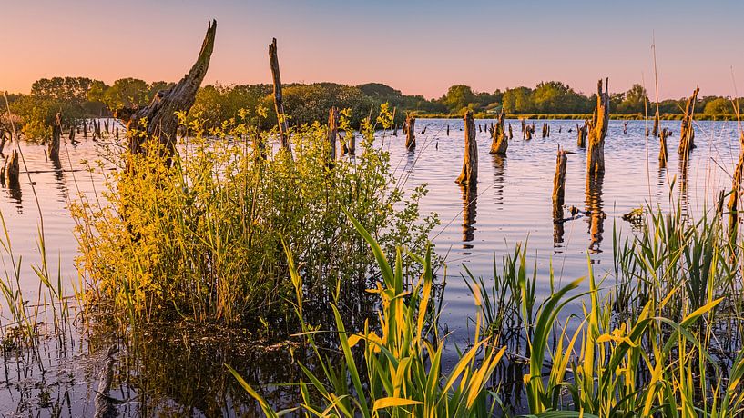 Zonsondergang in  nationaal park De Alde Feanen van Henk Meijer Photography