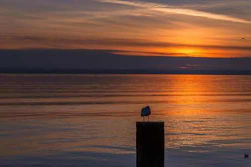 BADEN-WÜRTTEMBERG : ZONSONDERGANG AAN DE BODENSEE
