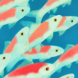 Fischschwarm schwimmt zum Licht von Frank Daske | Foto & Design