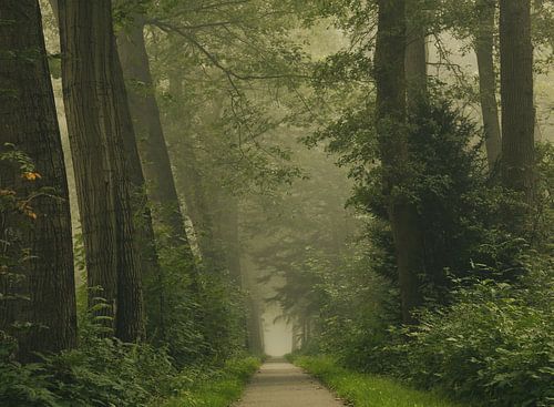 Groen geluk