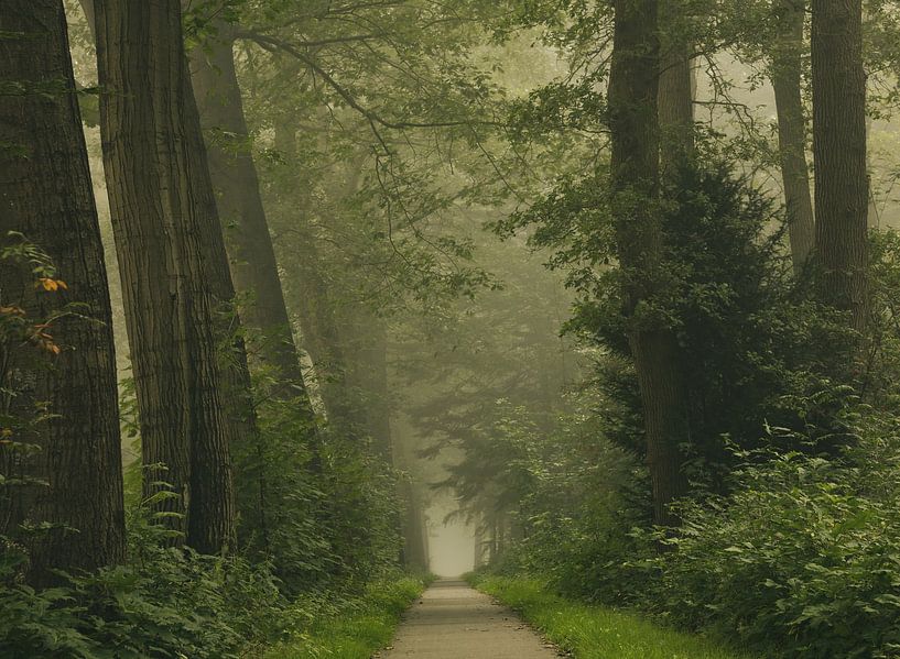 Le bonheur vert par Marloes ten Brinke