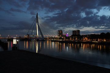 Erasmusbrug Rotterdam van Henrik van Driel