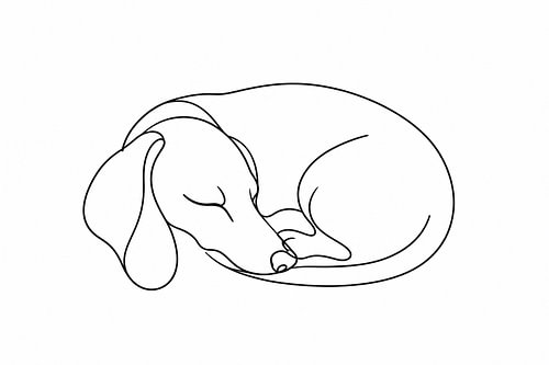 A love of dachshunds in a flowing line
