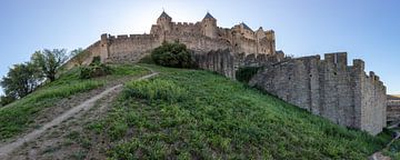 Blick auf die antike Stadt Carcassonne in Frankreich