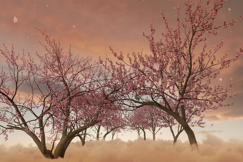 Allee von japanischen Kirschbäumen über flauschige Wolken von Besa Art
