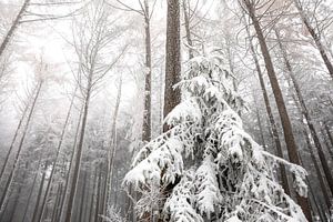 Une autre sur Olha Rohulya