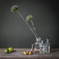 Modern still life with leek bulbs [square].