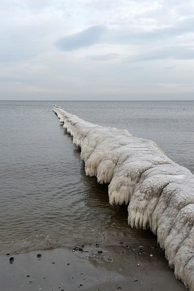 Icy groyne juts into the Baltic Sea by Alphapics