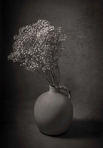 Modern still life gypsophila in a vase