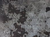 Wall paper 1 by PAPARAzzSSI Freelance Fotografie thumbnail