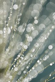 Abstract reality - in shades of turquoise, blue and green (Drops on a sprite) by Marjolijn van den Berg