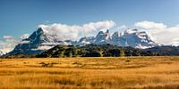 Torres del Paine van Dieter Meyrl thumbnail