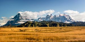 Torres del Paine van Dieter Meyrl