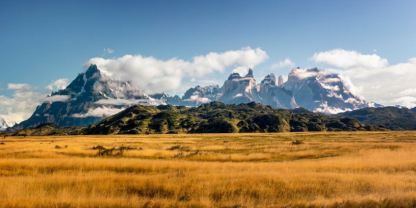 Torres del Paine von Dieter Meyrl