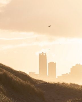 Scheveningen by Sander van Driel