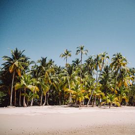 Tropisch strand in Panama | Coiba National Park | Reisfoto van Expeditie Aardbol