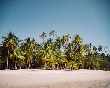Tropisch strand in Panama | Coiba National Park | Reisfoto van Expeditie Aardbol
