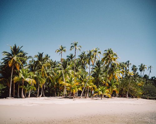 Tropisch strand in Panama | Coiba National Park | Reisfoto van Expeditie Aardbol