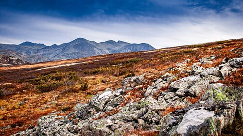 A view of the amazing and idyllic Norwegian landscape. Autumn picture of mountains and rivers.