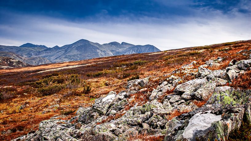 A view of the amazing and idyllic Norwegian landscape. Autumn picture of mountains and rivers. by Peter Jacek