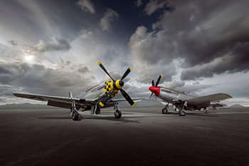 P-51 Mustang Legends
